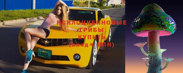 ALPHA PVP Белокуриха