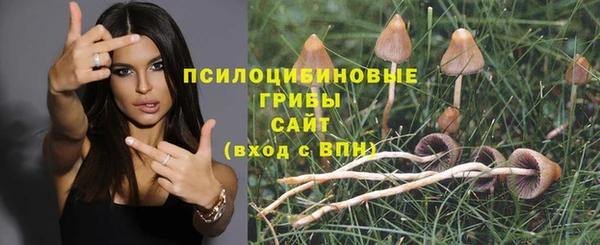 ALPHA PVP Белокуриха
