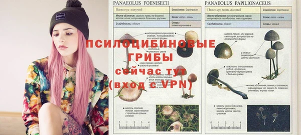 твердый Беломорск