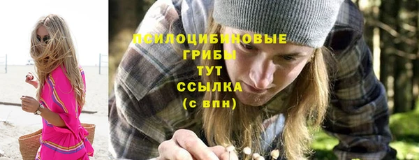 ALPHA PVP Белокуриха