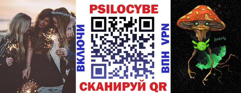 Купить закладки  Таштагол  Псилоцибиновые грибы GOLDEN TEACHER 